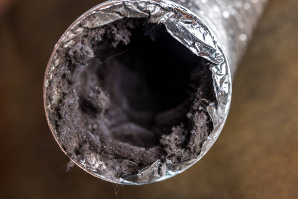 Best HVAC Duct Inspection Services  in Goodland, IN